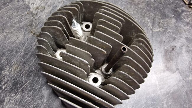 20250201_200829 Kopf